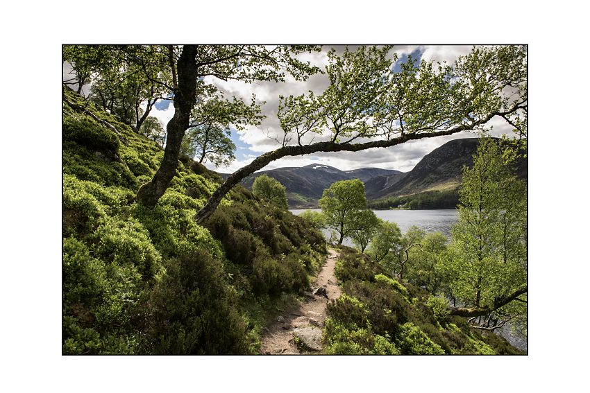 Loch Muick