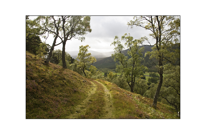 Invercauld Estate