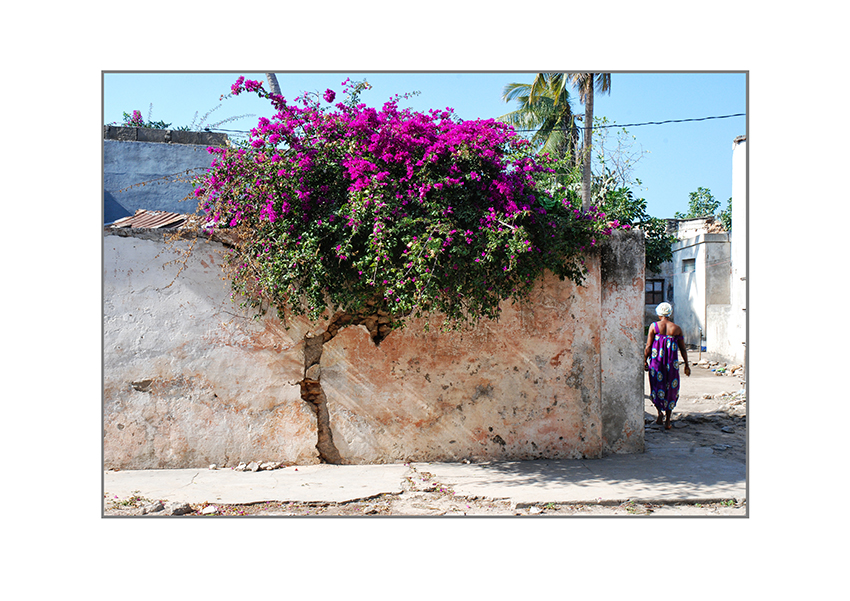 Ilha do Mocambique; Street II