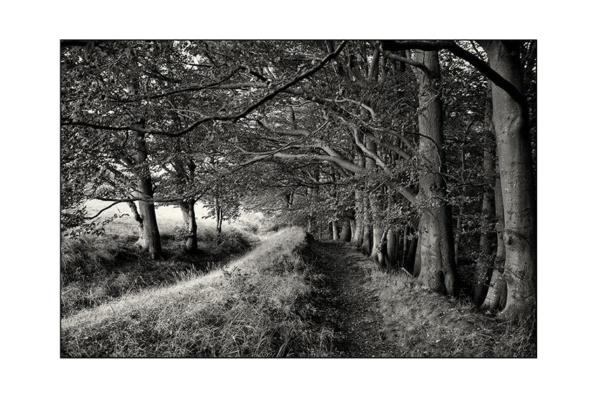 Kösterbeck im Herbst I