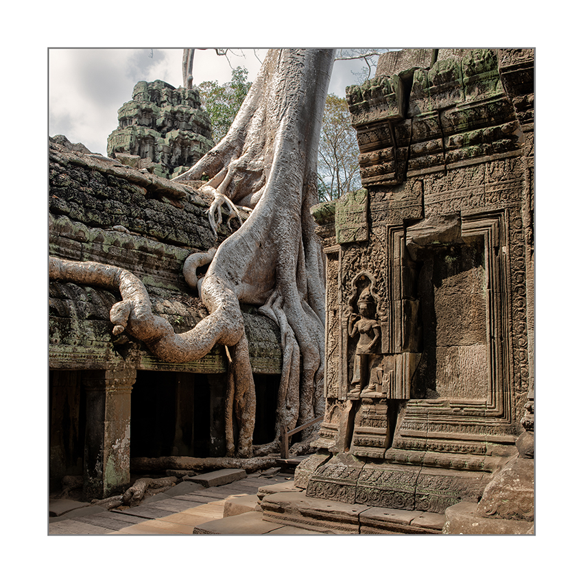 Ta Prohm
