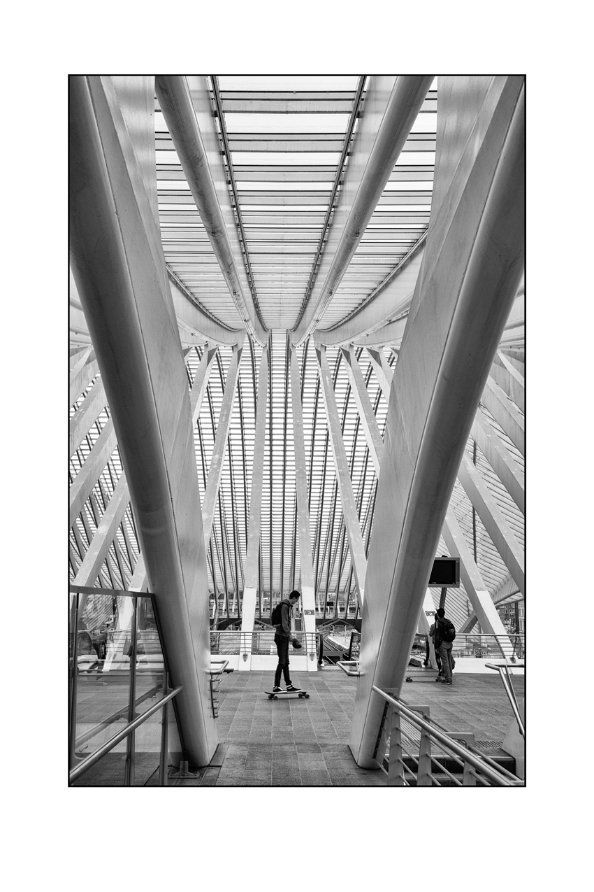 Guillemins #4